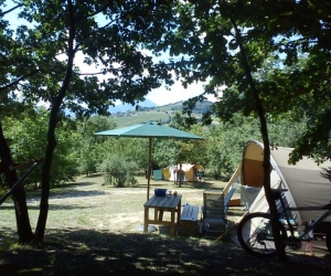 Camping